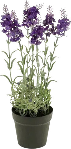 Künstlicher Lavendel Lea von Aplanta, Höhe: 28 cm - Bild 1