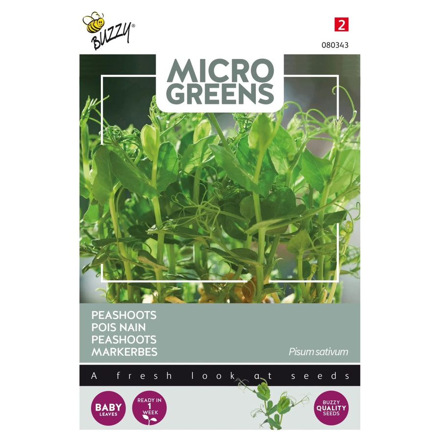 Buzzy Microgreens Markerbsen Samen für Microgreens, 15 g - Bild 2