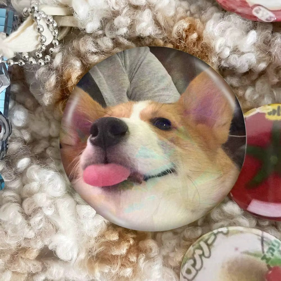 Brosche Corgi-Hund, Bunt, Unisex - Bild 4