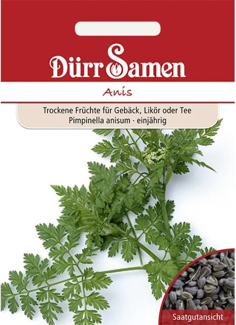 Dürr Anis Saatgut 155 g - Bild 1