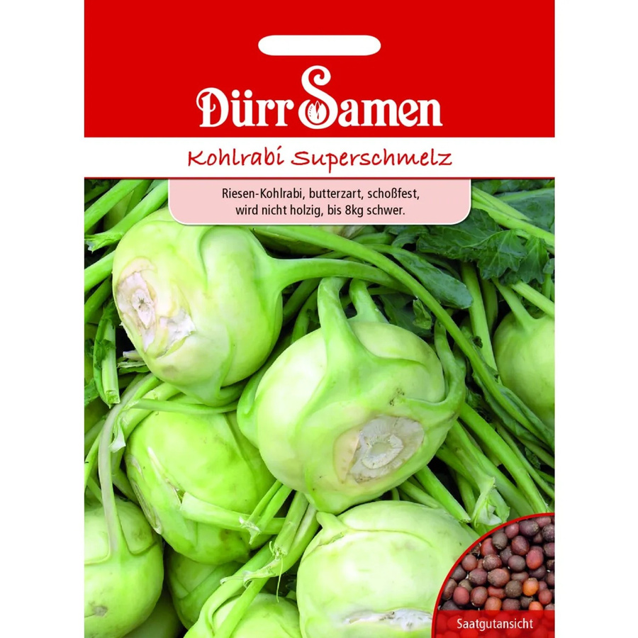 Dürr Kohlrabi Superschmelz Saatgut - Bild 2