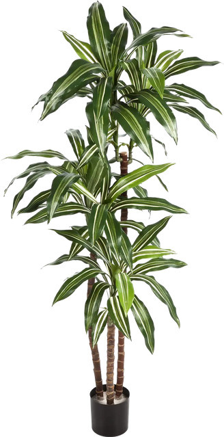 Künstlicher Drachenbaum Nico von artplants in Grün, Höhe: 120 cm - Bild 1