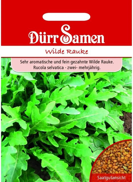 Dürr Wilde Rauke Saatgut 3000 g - Bild 1