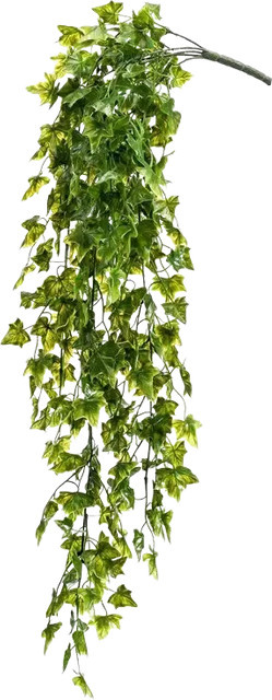 Künstlicher Hänge-Efeu Kenan von Aplanta, Grün, Höhe: 75 cm - Bild 1