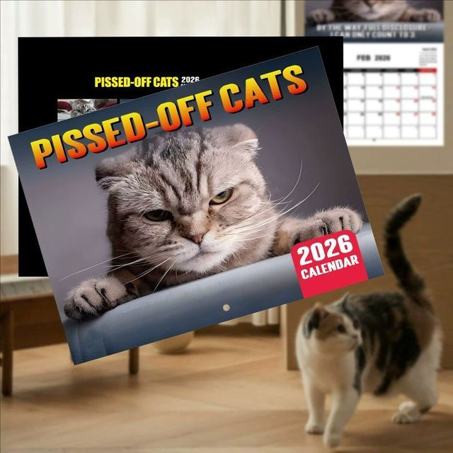Wütender Katzenkalender 2026 für den täglichen Gebrauch mit Monatsübersicht, weiß und mehrfarbig - Bild 1