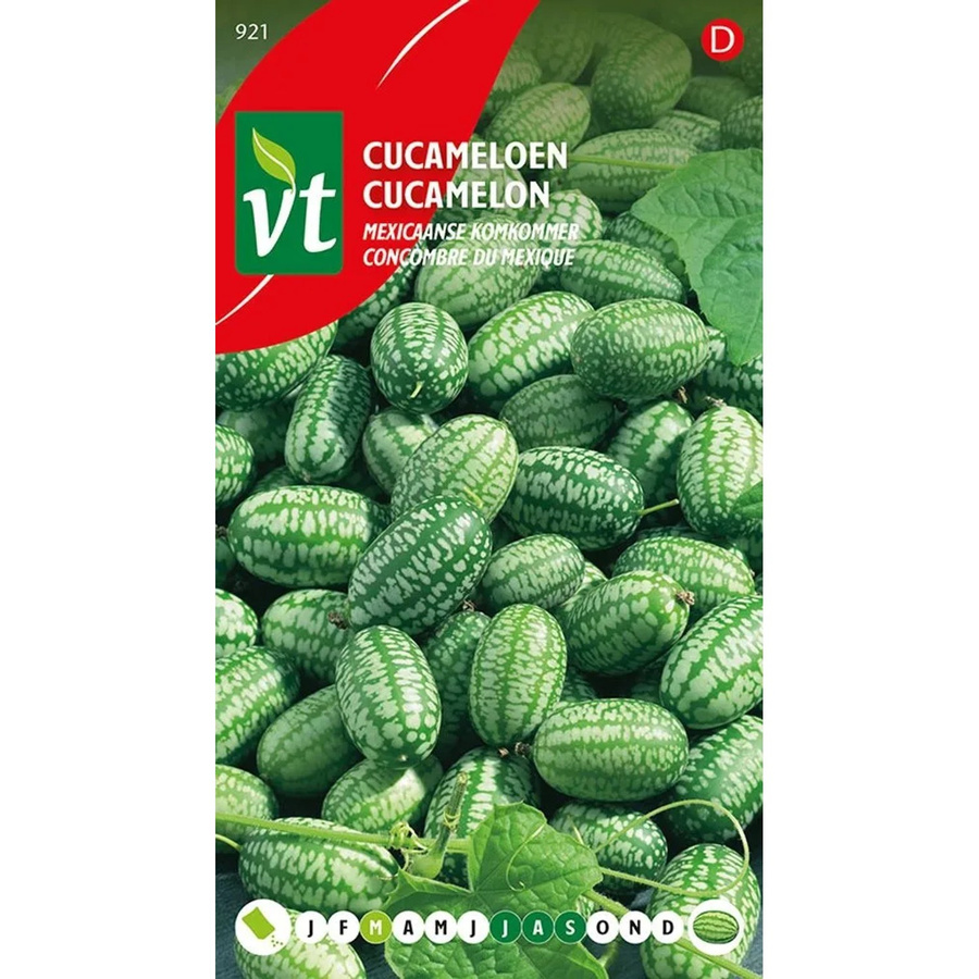 Arborix Mexikanische Minigurke Gemüsesamen für Garten und Zuhause mit ca. 15 Samen für kleine Früchte - Bild 2