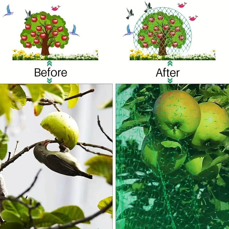 Grünes Gartennetz als Pflanzenschutz gegen Vögel und Tiere für Gemüse- und Ziergärten - Bild 4
