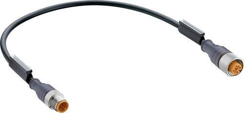 Belden 40185 Sensor-Aktor-Steckverbinder M12 Stecker gerade auf Buchse gerade, 3 Polzahl, schwarz, Länge: 30 cm - Bild 1