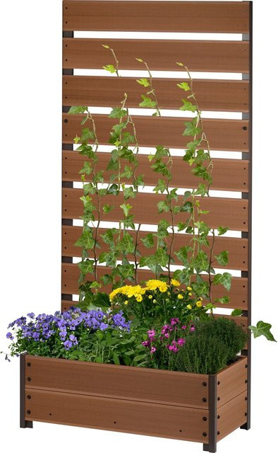 Dobar Pflanzkasten mit Rankgitter aus WPC in Teak, B/T/H: 72 x 33 x 150 cm - Bild 1