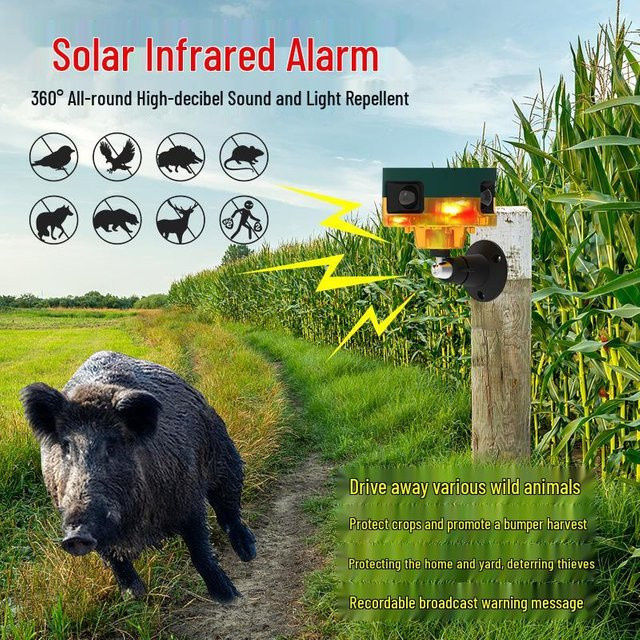 TOOLCRAFT Solarbetriebener 360° Infrarot-Bewegungsmelder und Licht zur Tierabwehr mit Sprachausgabe in Schwarz - Bild 1