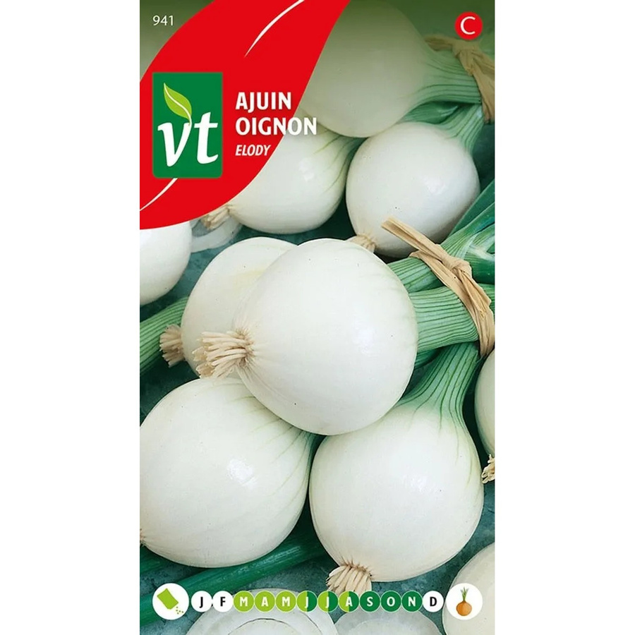 Arborix Zwiebel Elody Saatgut Aromatisch 4 g - Bild 2
