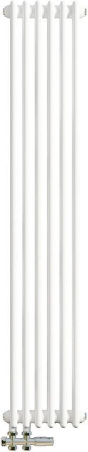 AICA Traditioneller 2 Spalten Heizkörper im Gusseisenstil, Weiß, B: 1500 mm, H: 290 mm - Bild 1