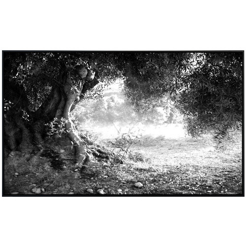 papermoon EcoHeat Infrarotheizung Wald Schwarz Weiss mit Matt-Effekt und App-Steuerung - Bild 2