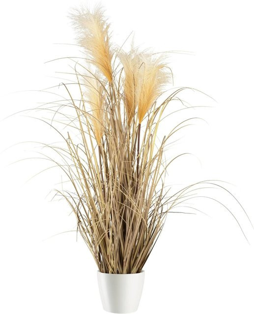Modern Living Kunstpflanze Pampasgras I in Beige, Topfpflanze aus Kunststoff - Bild 1