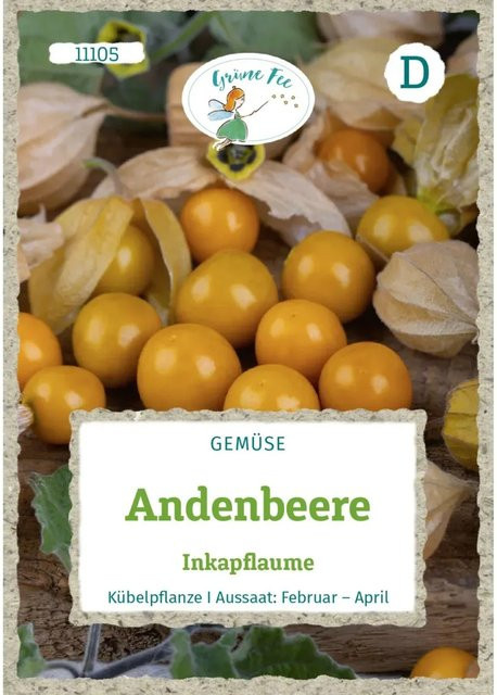 Grüne Fee Andenbeere Inkapflaume Saatgut - Bild 1