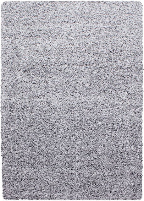 Ayyildiz Hochflorteppich LIFE in Hellgrau, B/L: 160 x 230 cm - Bild 1