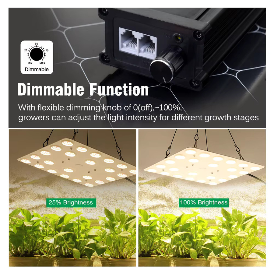 GRAXGROW LED-Wachstumslicht Vollspektrum Dimmbares Panel mit Reflektor für Garten und Bauernhof - Bild 4