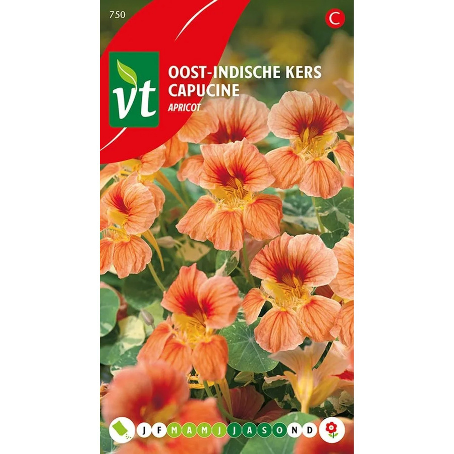 Arborix Kapuzinerkresse Apricot Saatgut für Garten und Balkon mit apricotfarbenen Blüten, 3,5 g - Bild 2