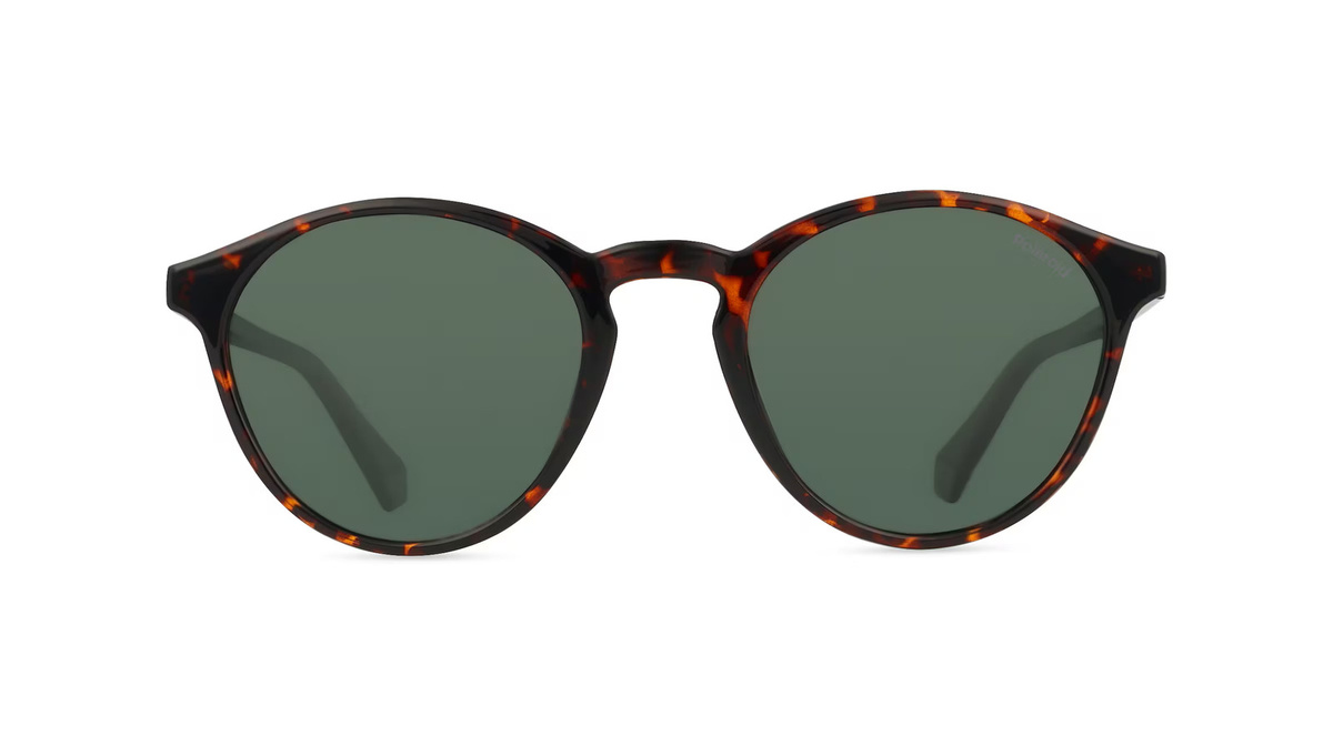 Polaroid PLD 4153/S Sonnenbrille Panto, Vollrand, Kunststoff, Herren, brown green - Bild 1