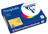 Clairefontaine Trophée Color Kopierpapier DIN A4, 80 g/m², 500 Blatt pro Packung, Multicolour und Gold, FSC-zertifiziert, matt - Bild 1