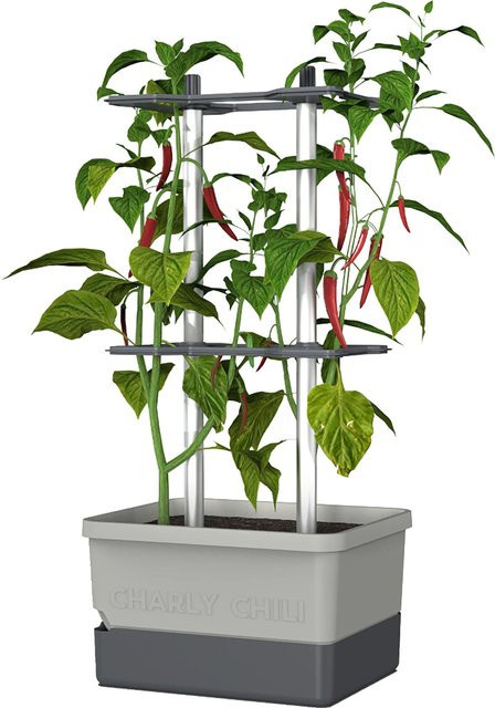 Gusta Garden Pflanztopf Charly Chili in Hellgrau mit 10 l Volumen - Bild 1