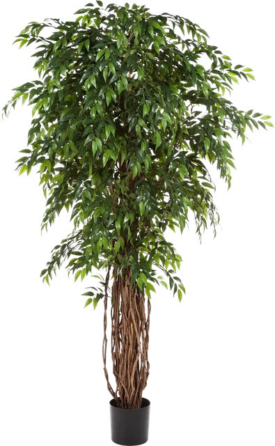 Künstlicher Ficus Jayden von artplants in Grün, Höhe: 210 cm - Bild 1
