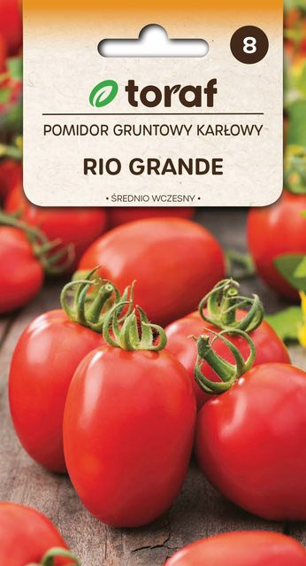 Toraf Tomatensamen RIO GRANDE 0,5 g - Bild 1