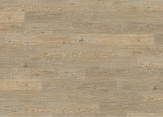Living by HARO Designboden PowerStar Landhausdiele Eiche Asturia Alabaster in Weiß und Beige - Bild 1