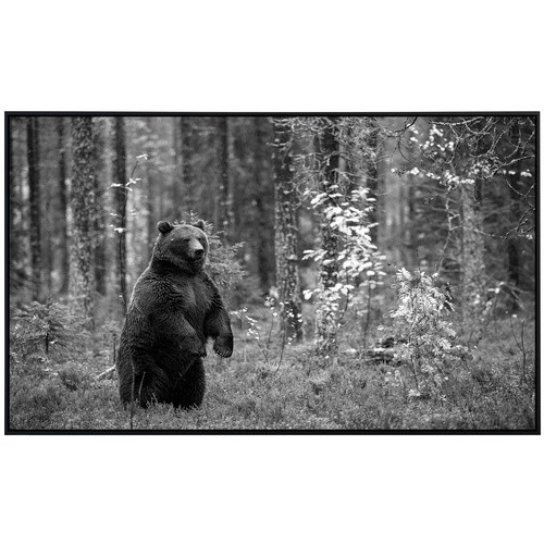 papermoon Infrarotheizung EcoHeat Bär im Wald Schwarz Weiss mit App-Steuerung und Überhitzungsschutz - Bild 2