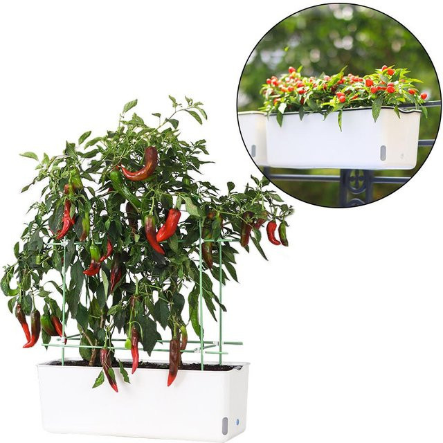 Neoglint Selbstbewässerndes Balkonpflanzkasten Innenset in Weiß für Gemüse und Blumen - Bild 1