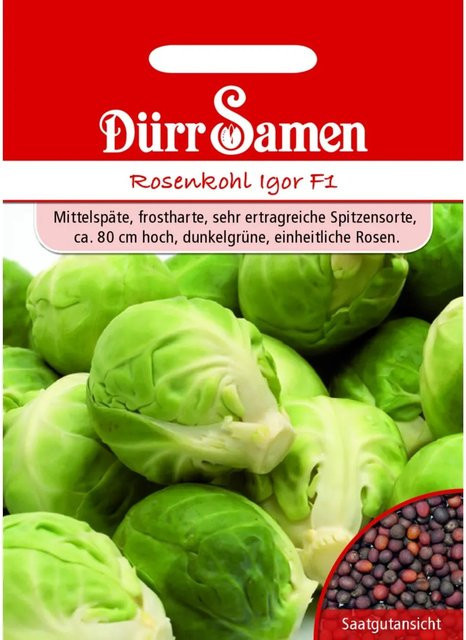 Dürr Rosenkohl Igor F1 Saatgut 50 g - Bild 1
