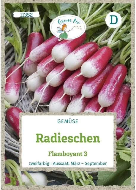 Grüne Fee Radieschen Flamboyant Saatgut - Bild 1
