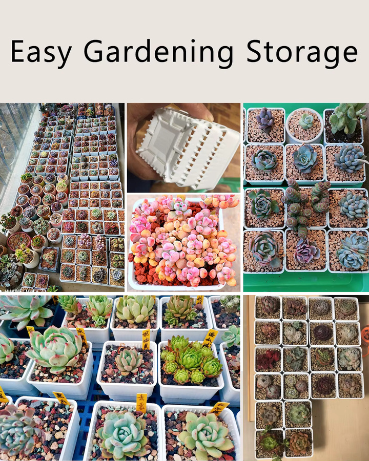 MESHPOT Sukkulententopf aus Kunststoff mit Löchern zur Wurzelkontrolle für Kakteen und Lithops, Weiß, 10 Stück - Bild 5