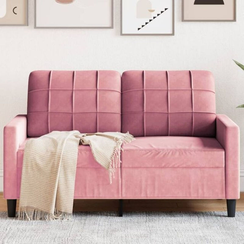 Vidaxl 2-Sitzer-Sofa aus Samt in Rosa mit modernem Design - Bild 1