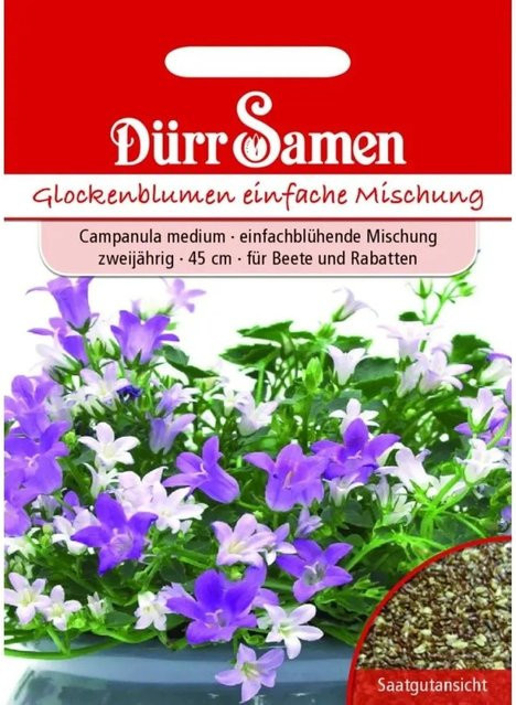 Dürr Glockenblume Saatgut Einfache Mischung Zweijährig Weiß Blau Mehrfarbig - Bild 1