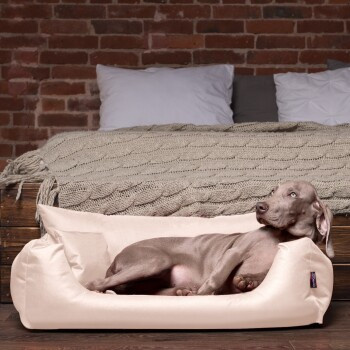 Tierlando NEMO Hundebett Hundesofa als Katzenbett in Beige mit abnehmbarem Bezug und erhöhten Rändern, B/T/H: 100 x 80 x 25 cm - Bild 3