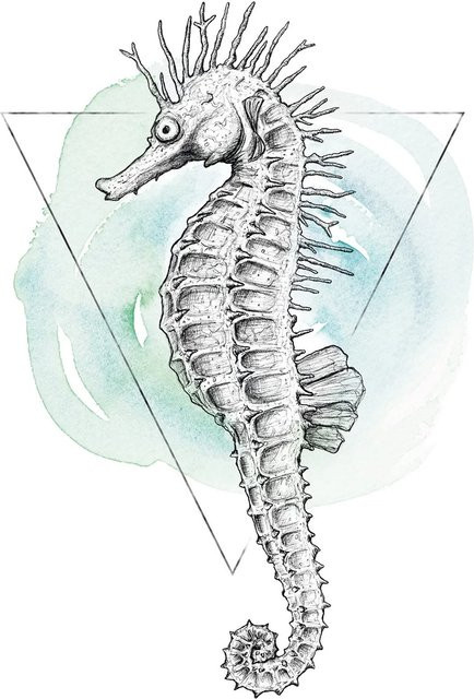 Komar Wandbild Sea Horse Watercolor Paper Poster, Multicolour, Breite: 50 cm, Höhe: 70 cm - Bild 1