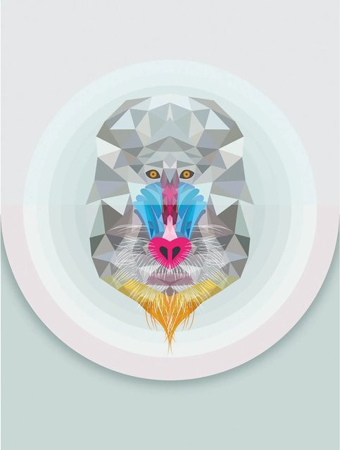 Komar Wandbild Baboon Multicolor B: 30 cm, H: 40 cm - Bild 1