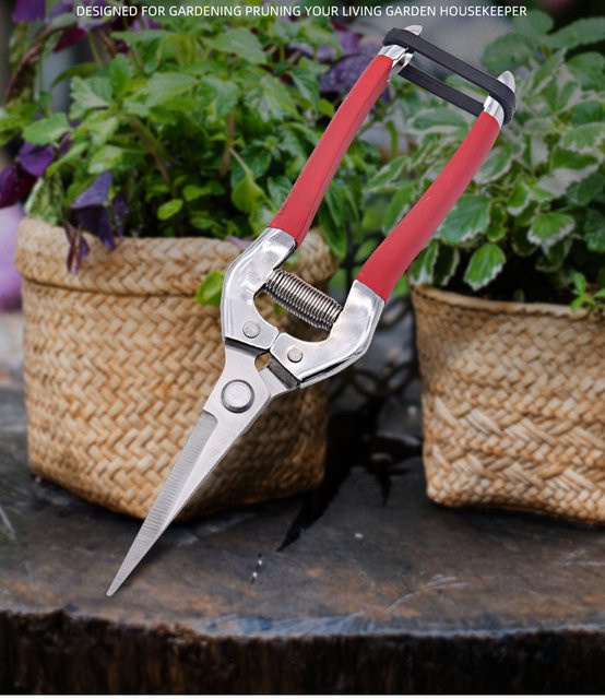 Dobeli Bonsai Gartenschere mit scharfer Edelstahlklinge in Rot, 20,32 cm - Bild 1