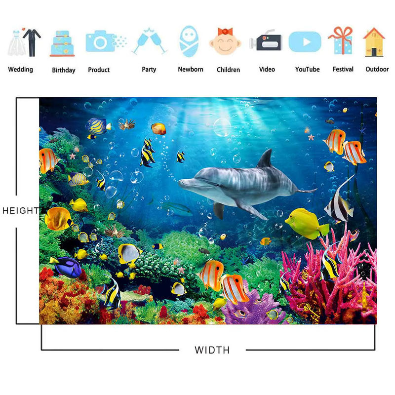 Bonvvie Unterwasser Welt Fotohintergrund mit Delphin, Korallen und Algen in Blau für Kindergeburtstag und maritime Dekoration - Bild 4