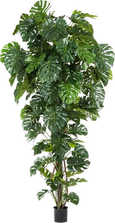 Künstliche Monstera Chris von Aplanta, grüne Zimmerpflanze, Höhe: 280 cm