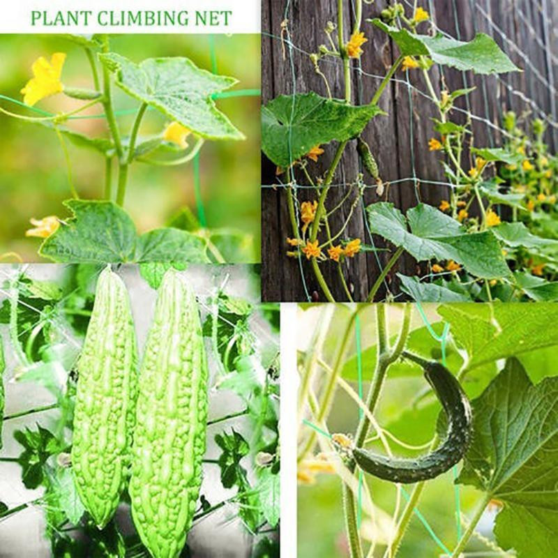 YJSTY Kletternetz für Gartenpflanzen in Grün mit 27 Strängen, B: 270 cm, H: 180 cm - Bild 3