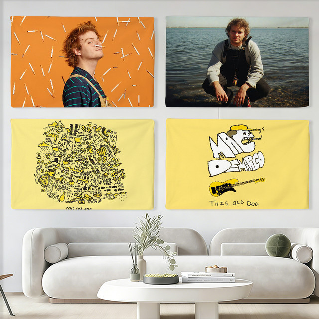 Mac Demarco Flagge von Warner Bros. als Wandkunst und Dekoration für Innen- und Außenbereiche B: 60,0 cm, H: 40,0 cm - Bild 1