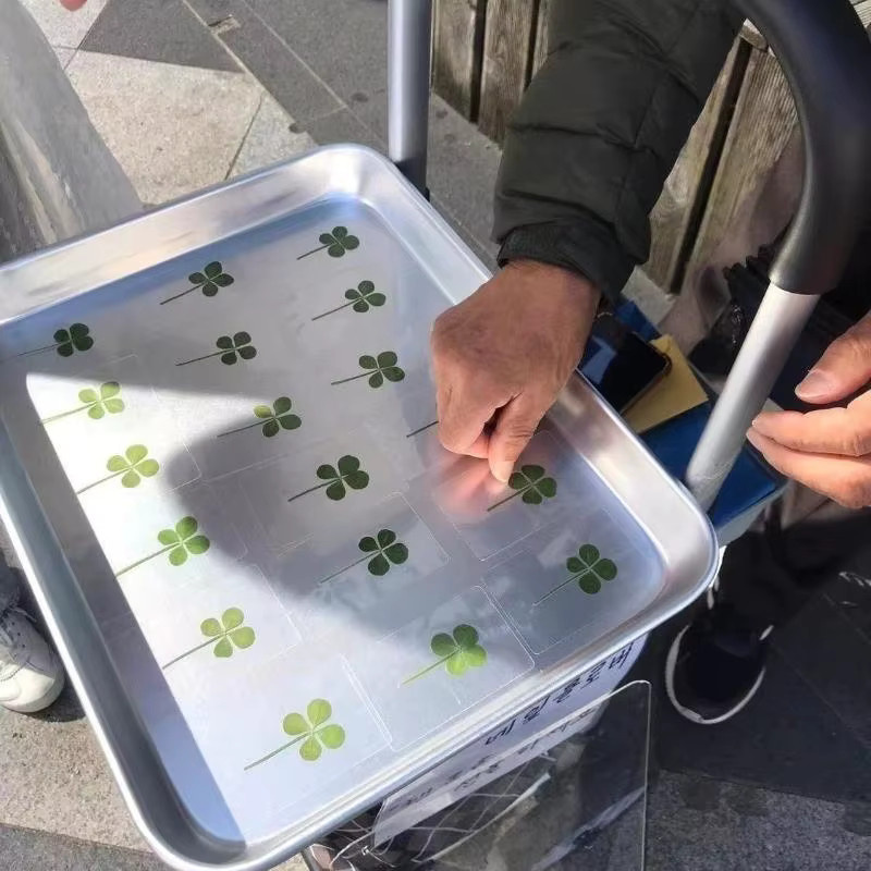 Transparente Glücksklee Postkarten aus Naturgras als Lesezeichen - Bild 4