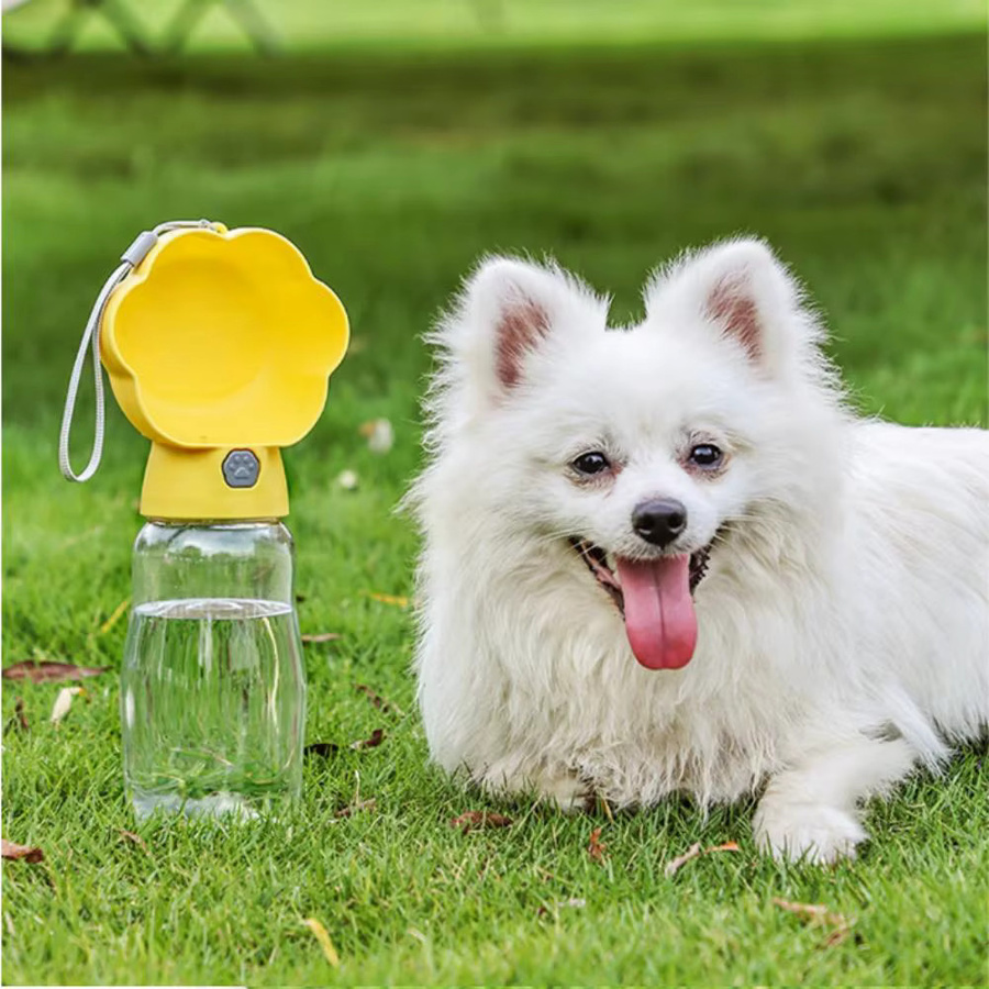 Holapet 2-in-1 Hunde-Wasserflasche mit Futterbehälter in Green, tragbarer Trinknapf für kleine und große Hunde, Höhe: 26,5 cm, Breite: 11,0 cm - Bild 4