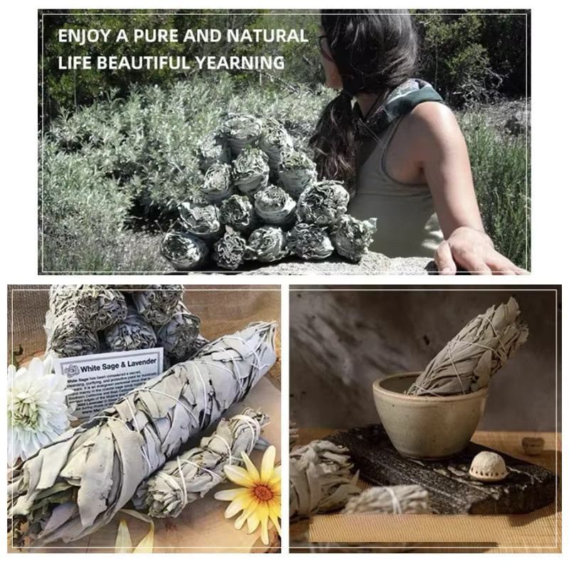 Bio-California Smudge Sticks aus weißem Salbei zur energetischen Reinigung, 12 Stück - Bild 5