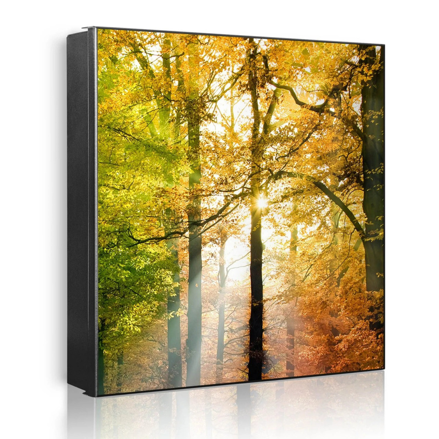 Banjado Schlüsselkasten aus Metall in Schwarz mit Motiv Herbstwald, Magnetisch und Beschreibbar, B/H: 30 x 30 cm - Bild 2