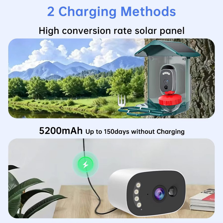 Jooan 4K Solar-Vogelfutterkamera mit 2,4G WLAN, wasserdichte HD-Außenkamera mit Nachtsicht und Vogelarten-Identifizierung - Bild 6