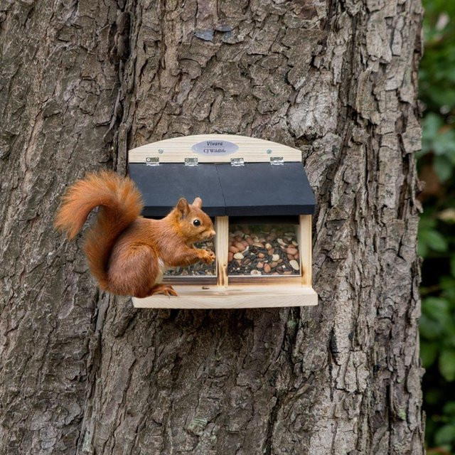 Doppelter Eichhörnchen-Futterautomat Galiano von CJ Wildlife in Schwarz und Braun mit Holzoptik - Bild 1