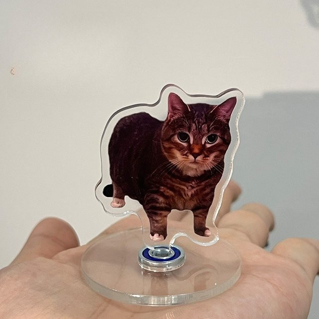 MOONBIFFY Rotierender Kätzchenständer aus Acryl für Schreibtisch und Auto - Bild 1